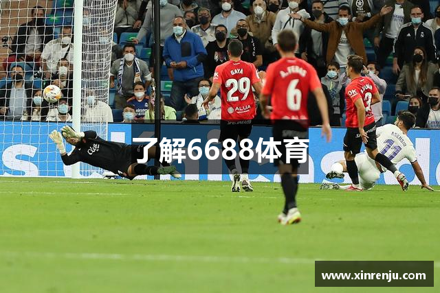 了解6688体育